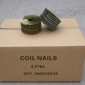 Coil Nails