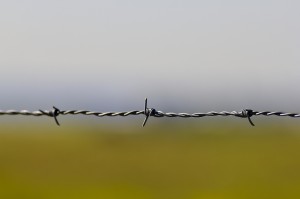 outdoor barbed wire